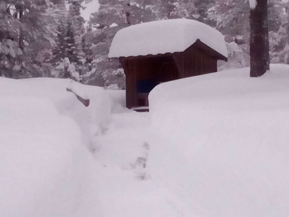 Snoigt.jpg